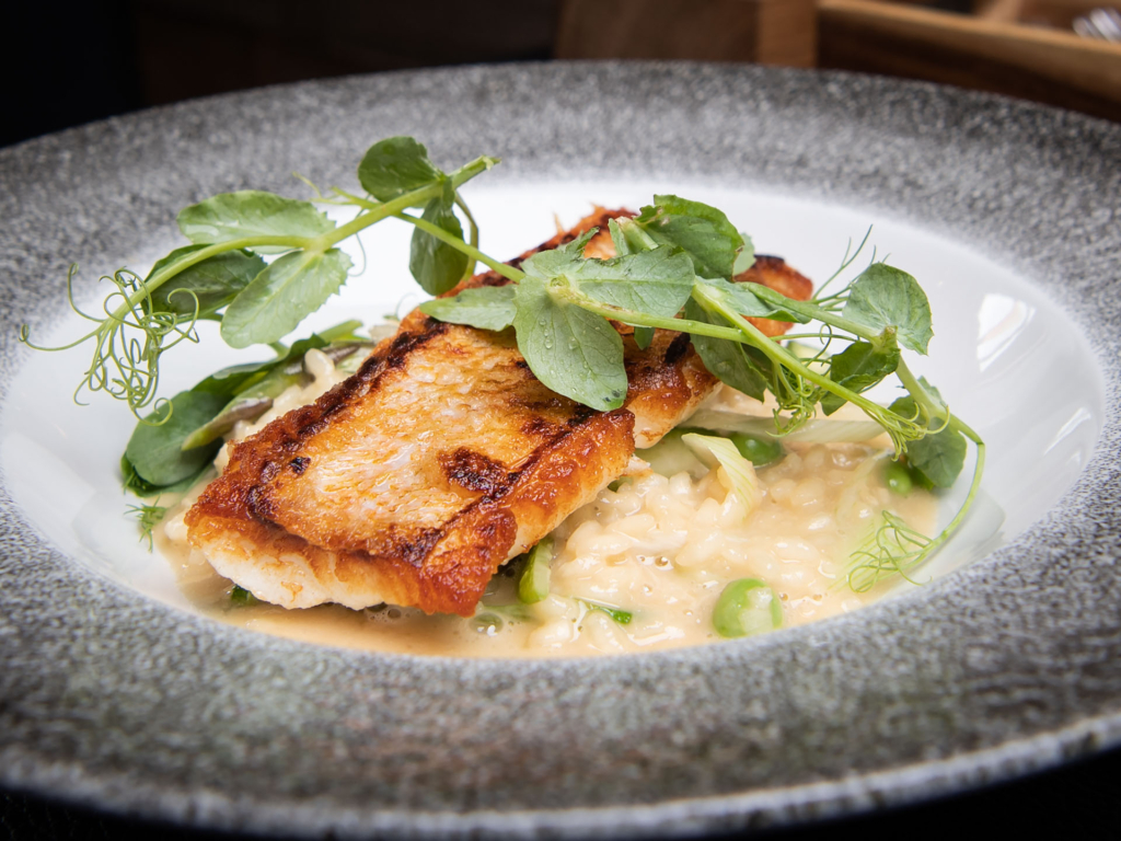 Café Faust ved åen i Aarhus_-5