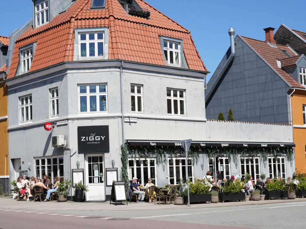 Café Ziggy på Tr&oslash;jborg-2