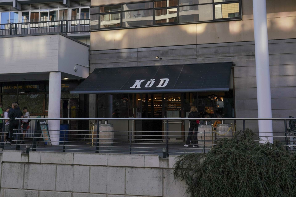 Köd ved åen set fra den anden siden af &aring;en