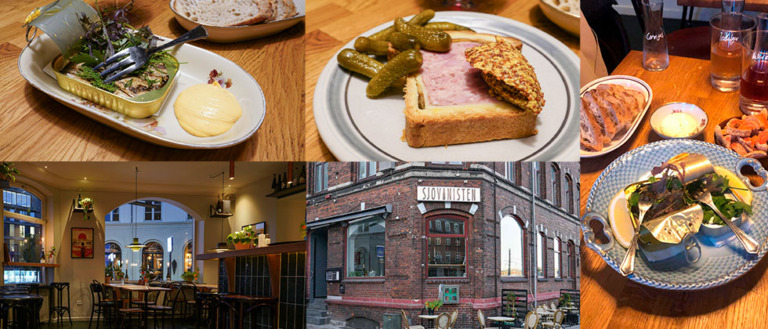 Forsidebillede til en anmeldelse af Sjovinisten