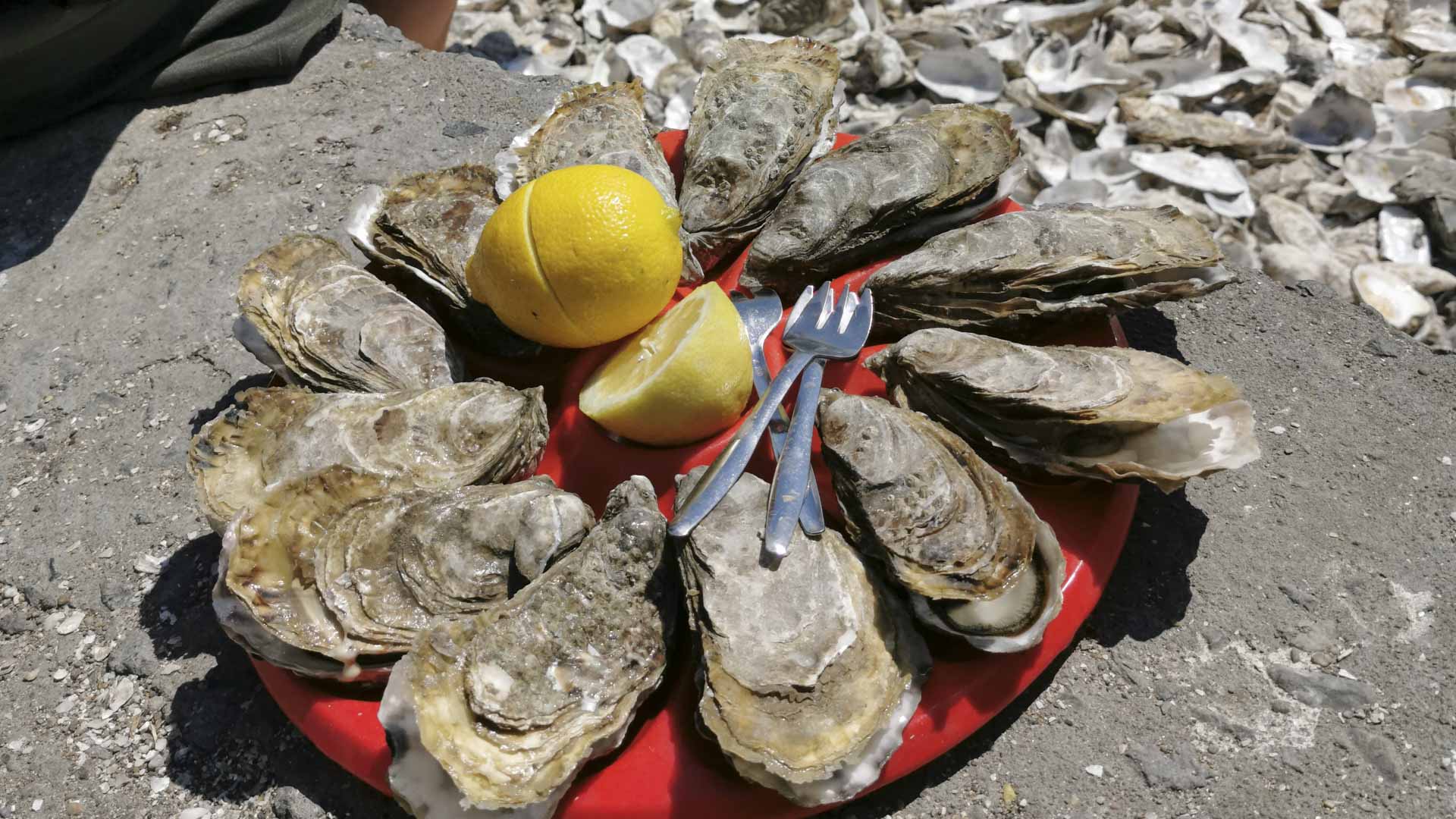 Så er der dømt frokost - et dusin østers i Cancale