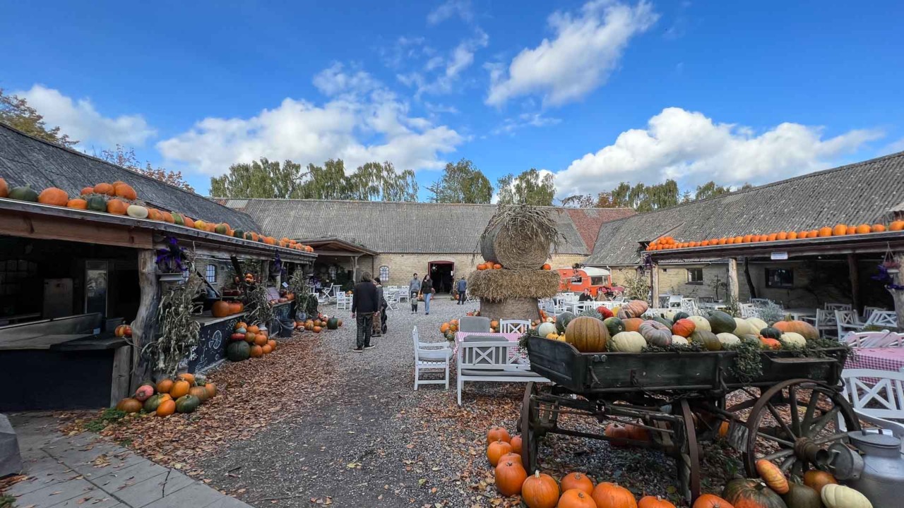 Gårdspladsen hos Gartnergården i Skødstrup