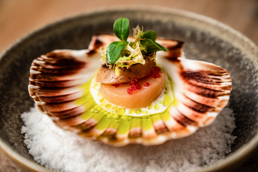 Kammusling hos Gastrom&eacute;