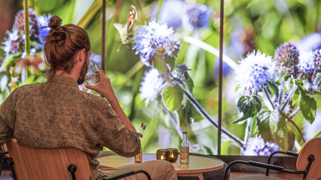 Caféen i Naturhistorisk Museum