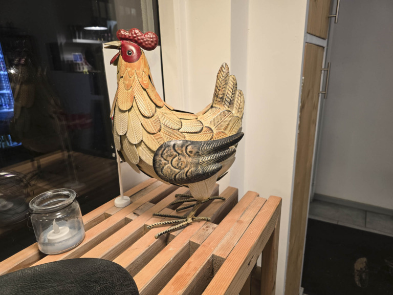 Sådan set hanen ud rigtigt hos Den Flyvende Hane i Brabrand