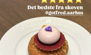 En smuk fastelavnsbolle fra gotfred i Aarhus