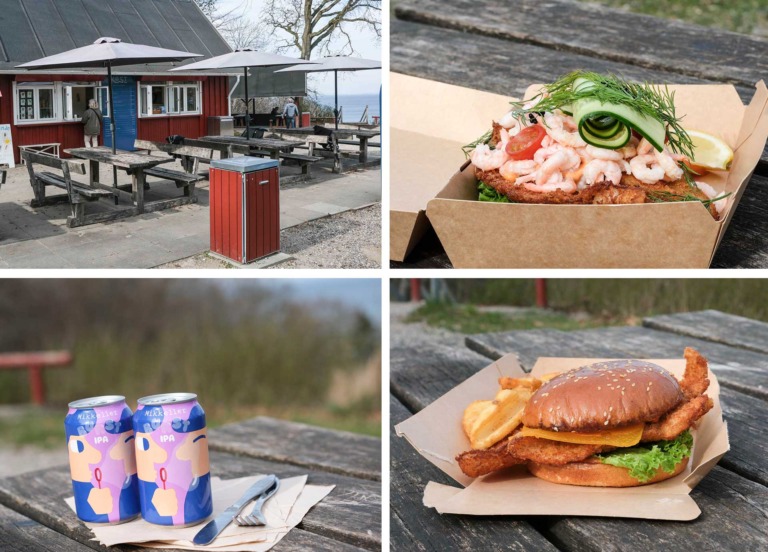 Forside til anmeldelse af Køst Ørnereden