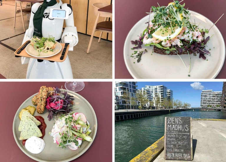 Forside til Bunshin Robotcafé