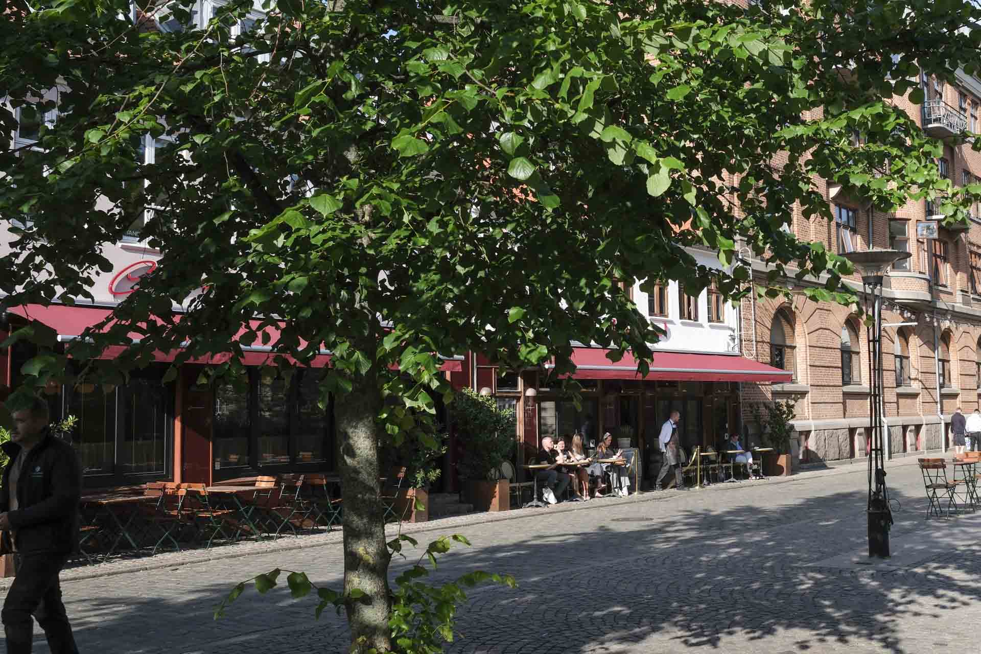 En ualmindelig smuk restaurant i Aarhus - Casablanca.