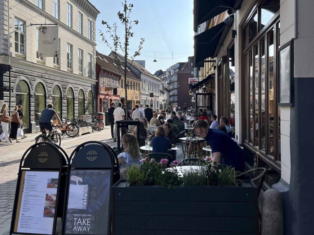 Sota Sushi Bar i Vestergade-5