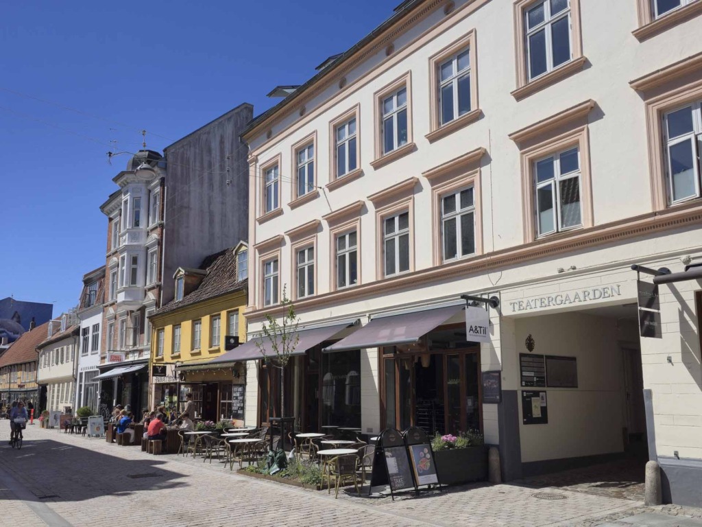 Sota Sushi i Vestergade