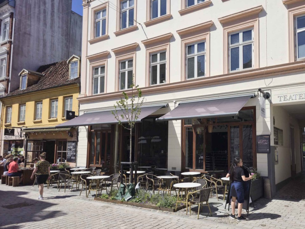 Sota i Vestergade