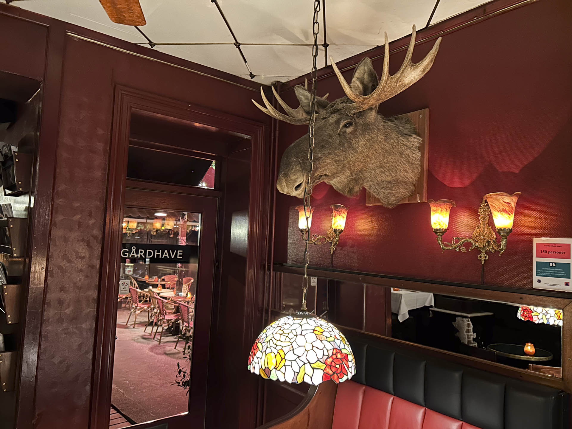 Den store elg på væggen hos Café Jorden i Aarhus C