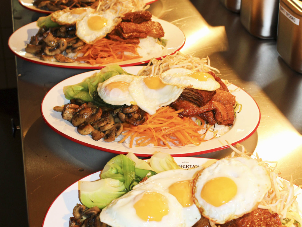 Roberta’s Society i Aarhus-7