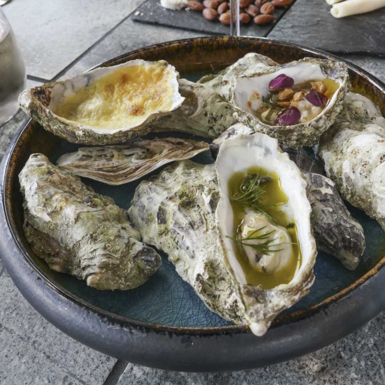 Havn&aelig;r på Aarhus &Oslash;-13