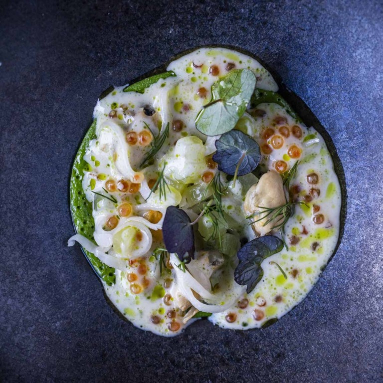 Havn&aelig;r på Aarhus &Oslash;-4