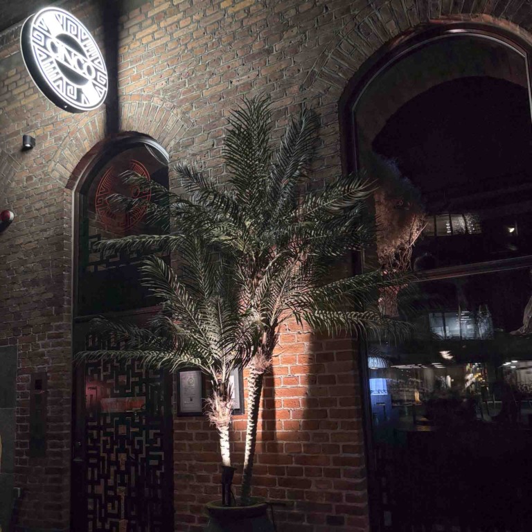 Restaurant Cinco i Aarhus C-36