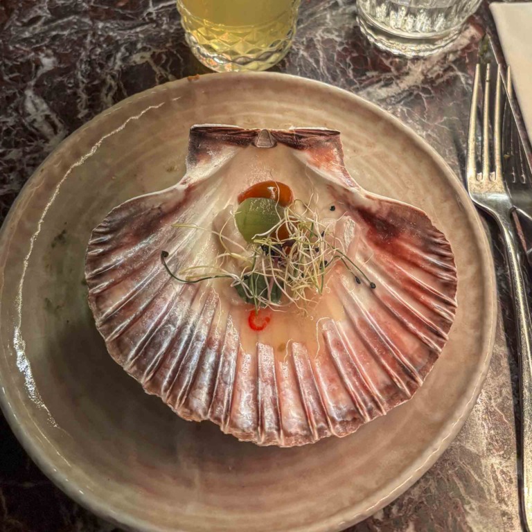 Kammuslinger i muslingeskal i Aarhus C