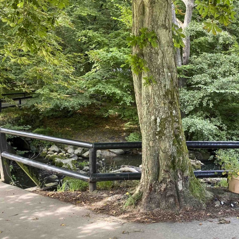 Restaurant Skovm&oslash;llen i H&oslash;jbjerg