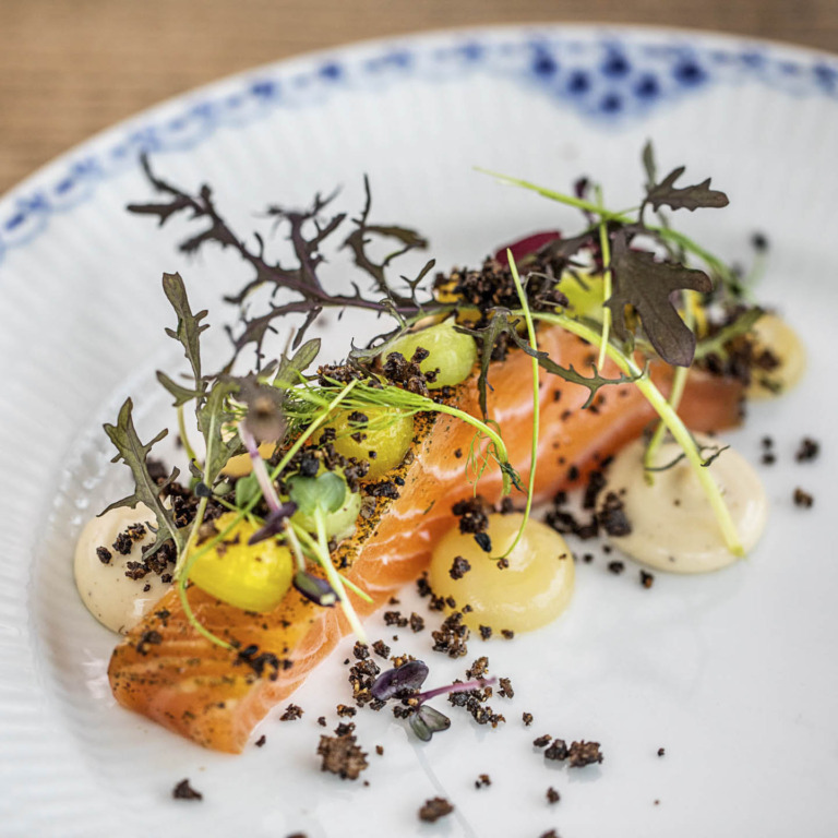 Skovm&oslash;llen ved Aarhus-10