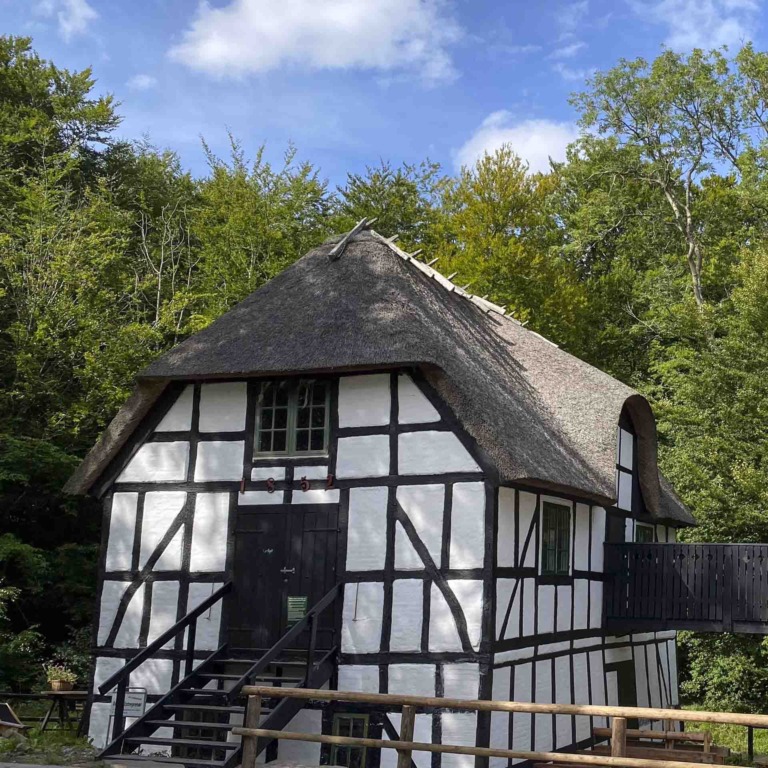 Skovm&oslash;llen ved Aarhus-5