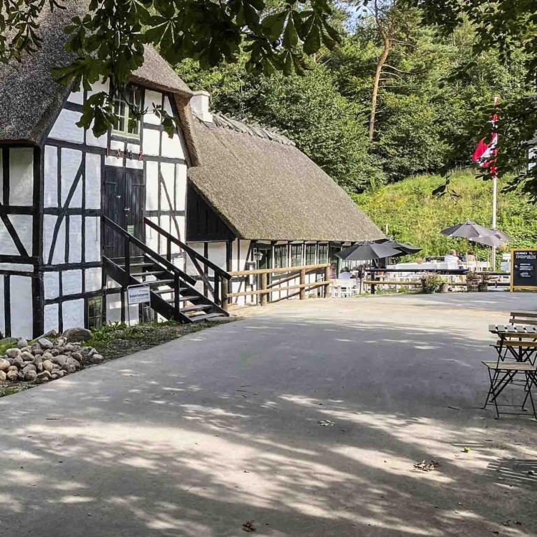 Skovm&oslash;llen ved Aarhus-6