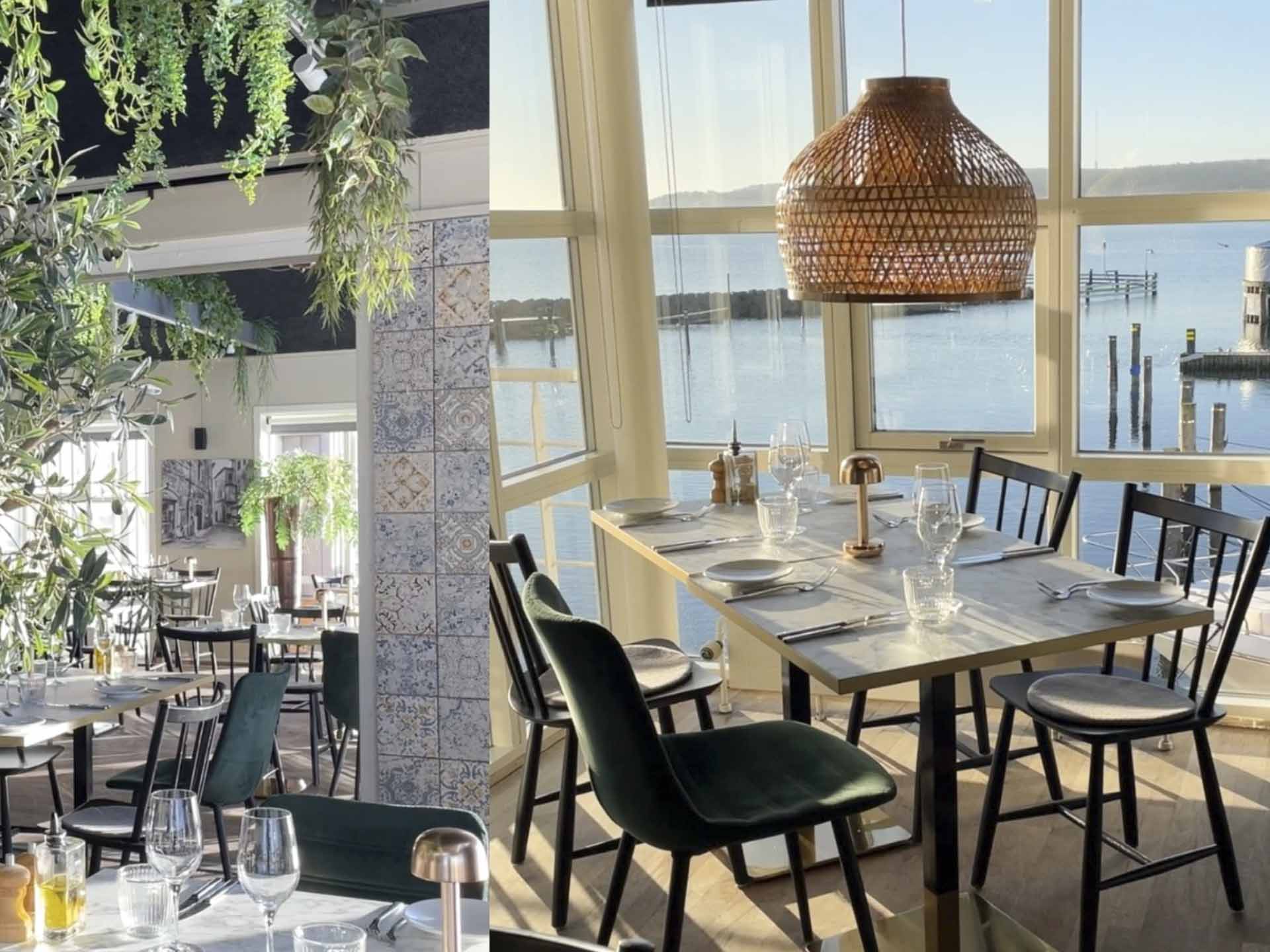 Martino fylder 20 år