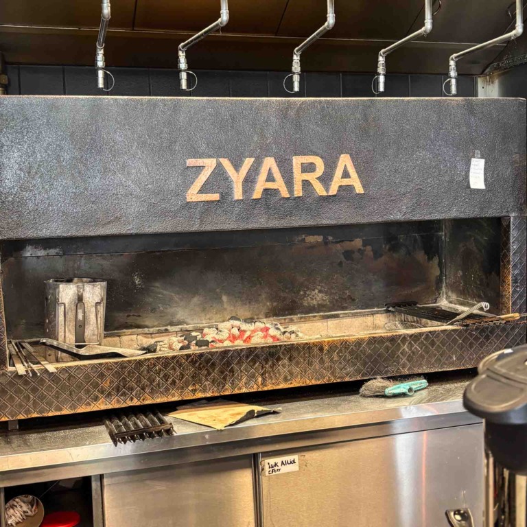 Zyara i Brabrand-18