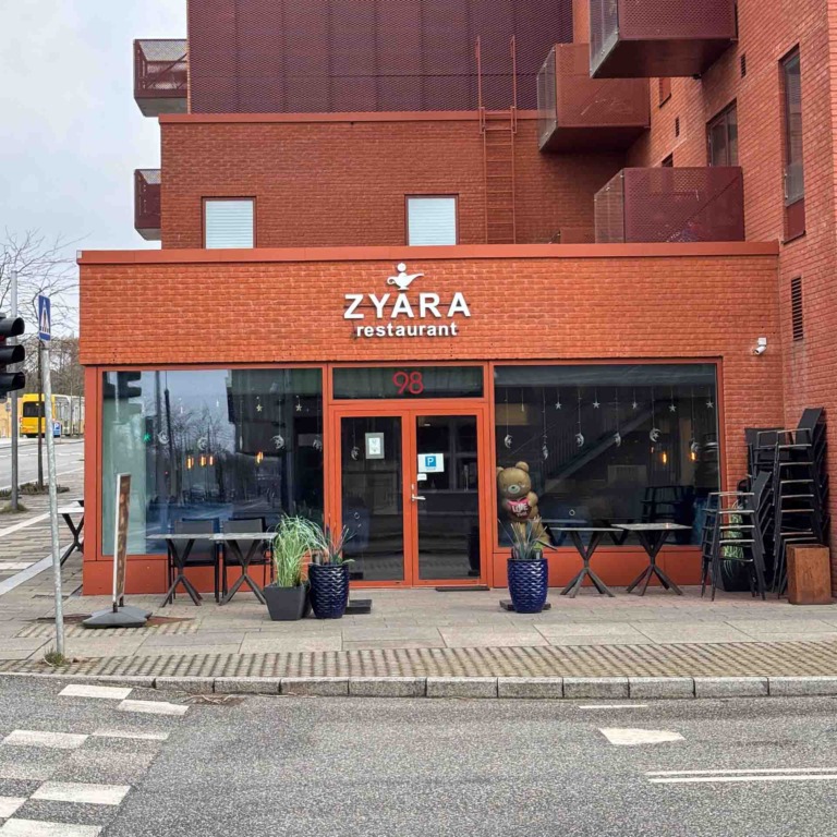 Zyara i Brabrand