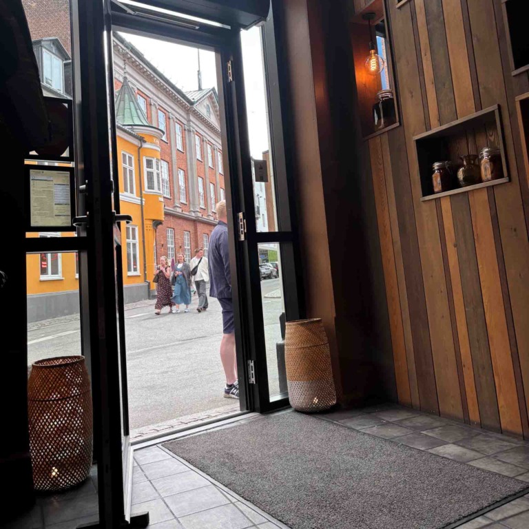 Basso i Skolegade i Aarhus C-9
