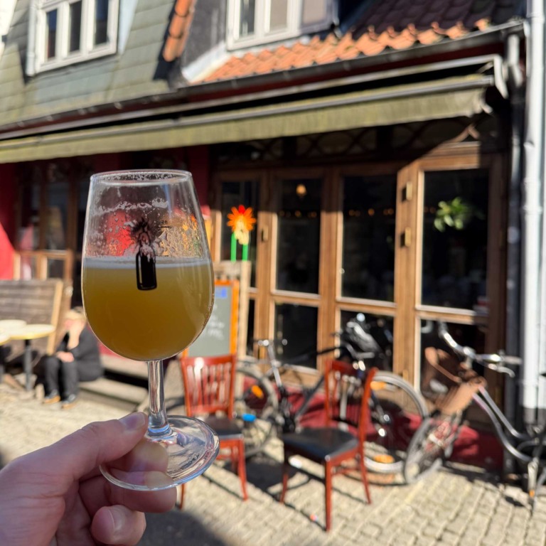 Frederiks Craft Beer Bar i Aarhus C-3