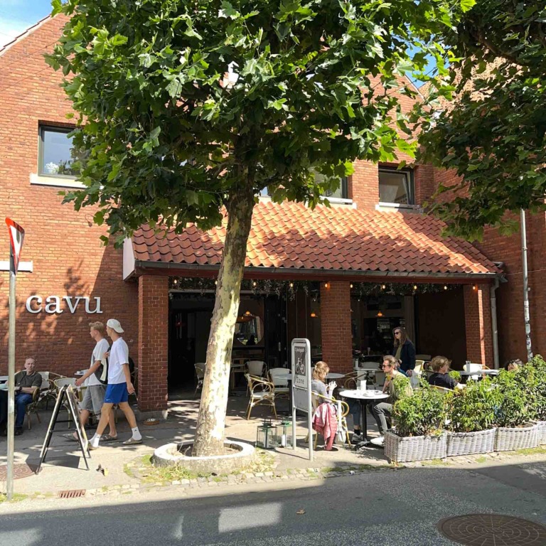 Cavu i Vestergade i Aarhus-17