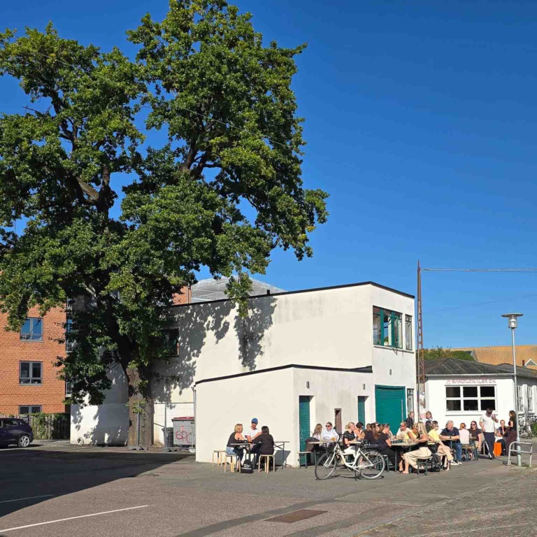 Carter i Aarhus C-12